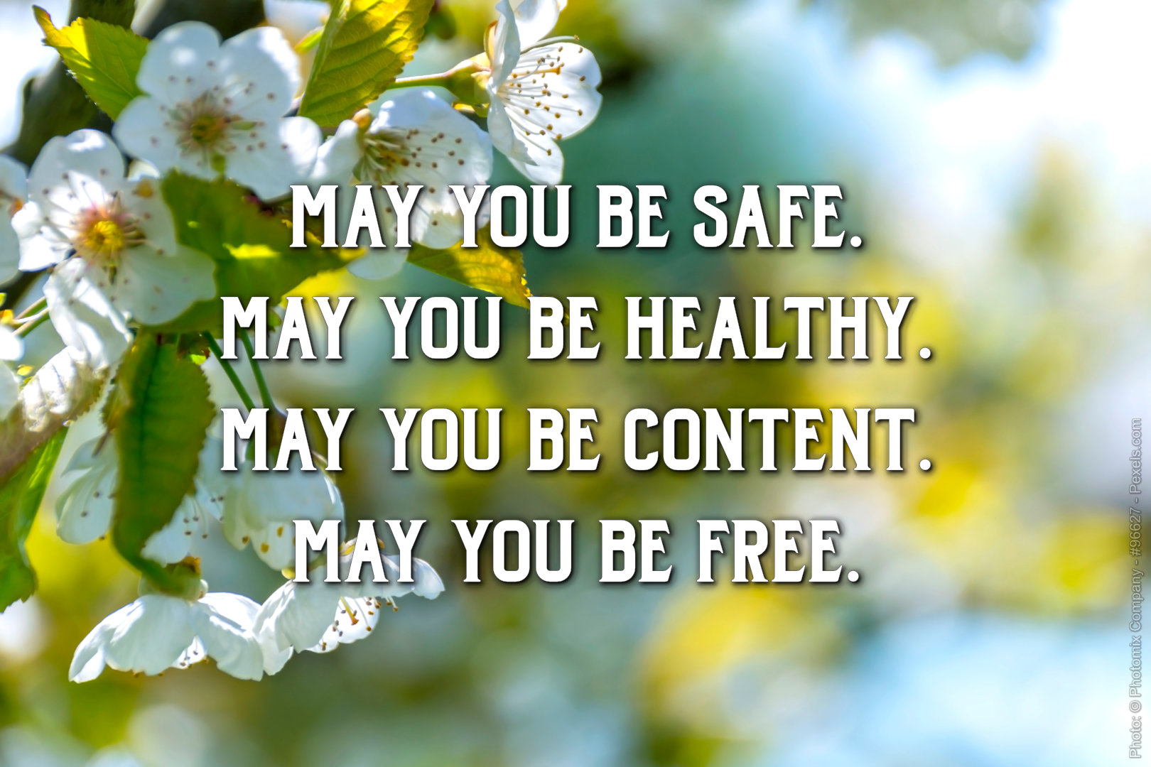 May You Be Safe, Healthy, Content, and Free